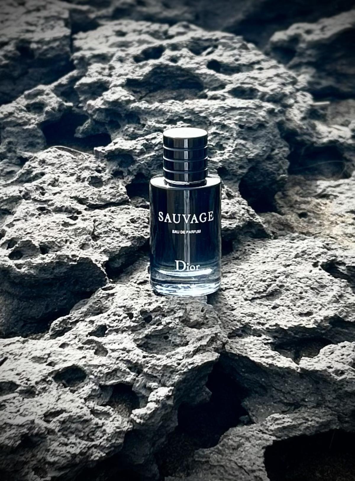 Dior Sauvage Eau de Parfum 100ml