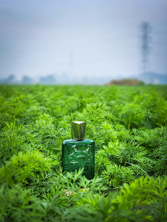 Greenley Parfums de Marly 125ML